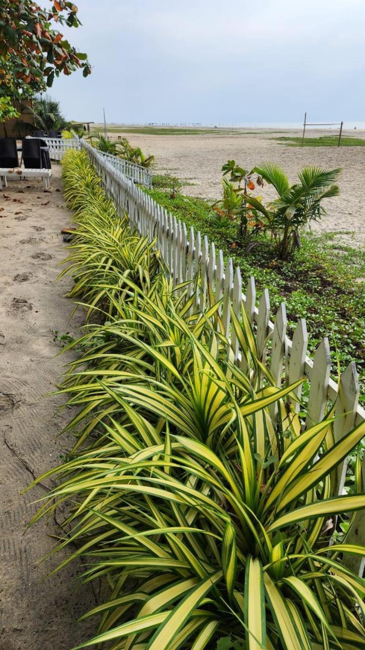 Palm Beach Resort, Alleppey Alappuzha Екстериор снимка